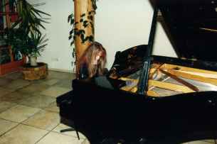 Semesterkonzert 1996