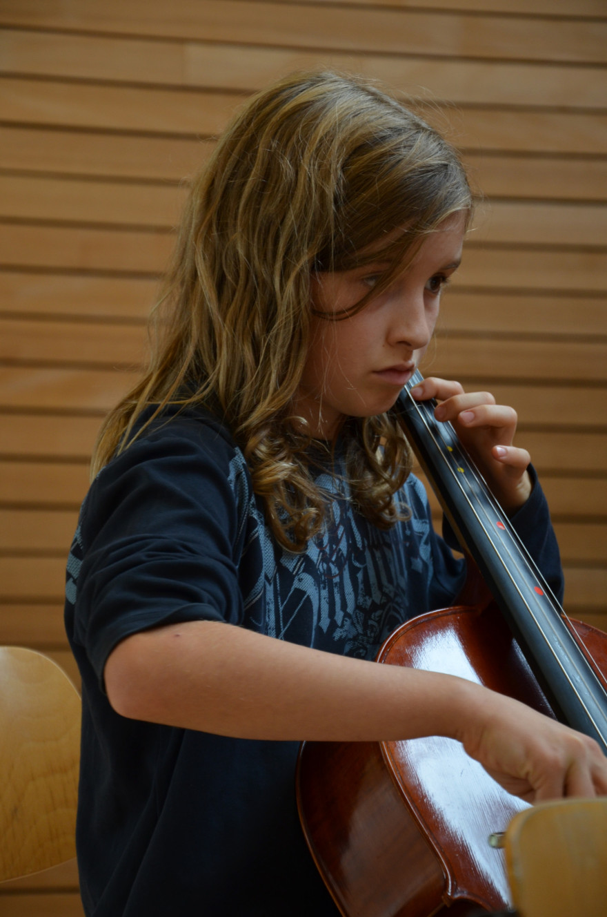 Bregenzerw&auml;lder Fiddleschool
