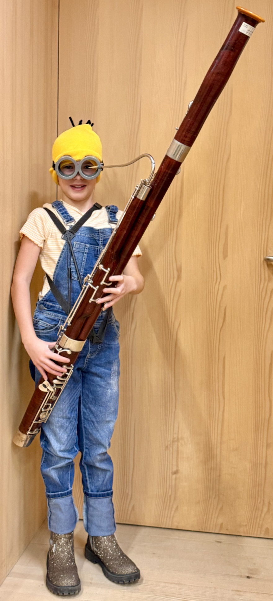 Faschingskonzert 2026