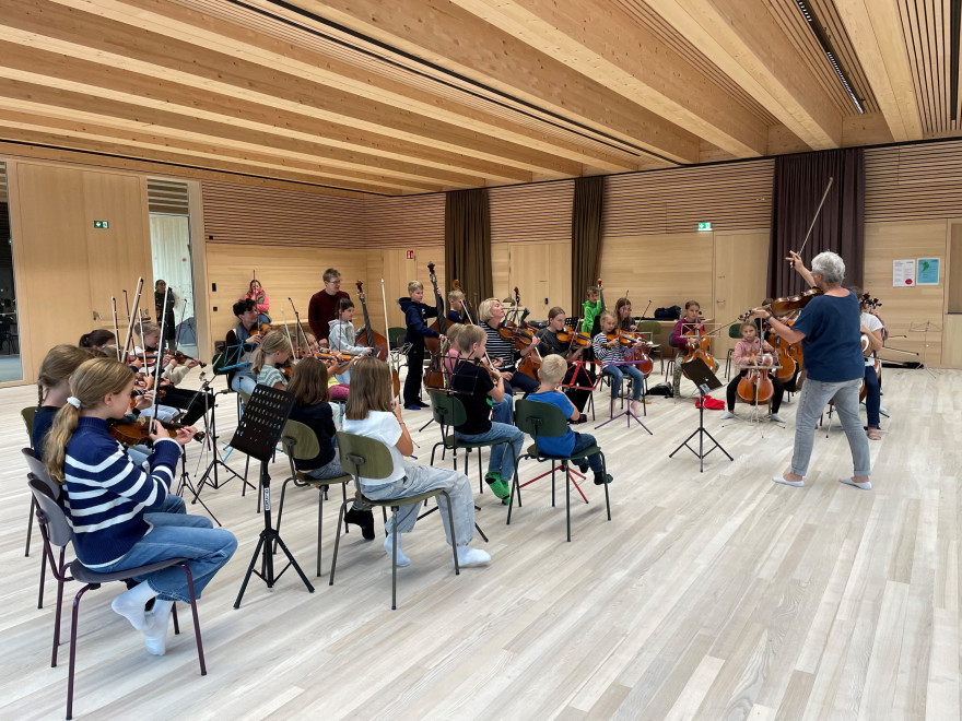 Fiddle School