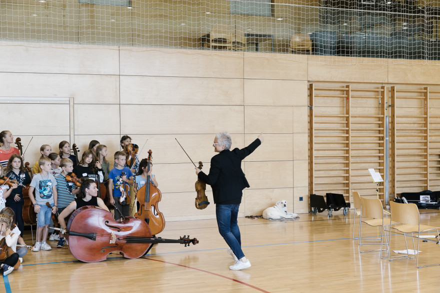 Fiddle-School