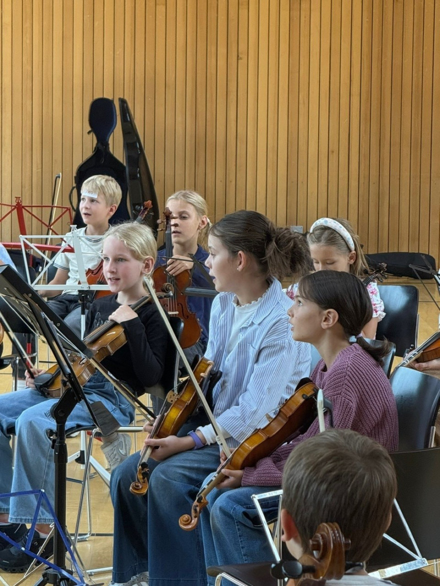 Fiddleschool 2025