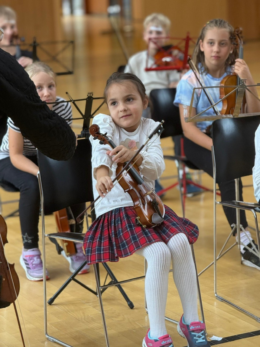 Fiddleschool 2025