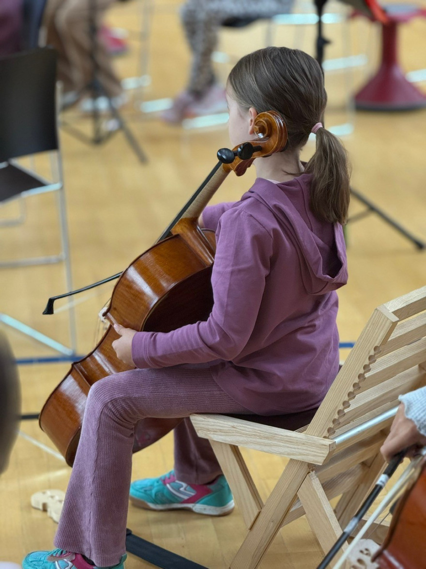 Fiddleschool 2025