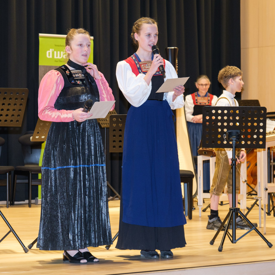 Volksmusikkonzert